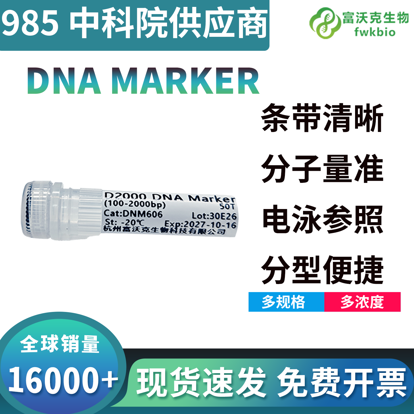 科研级三色预染蛋白核酸 Marker DNA 凝胶电泳分子量标准