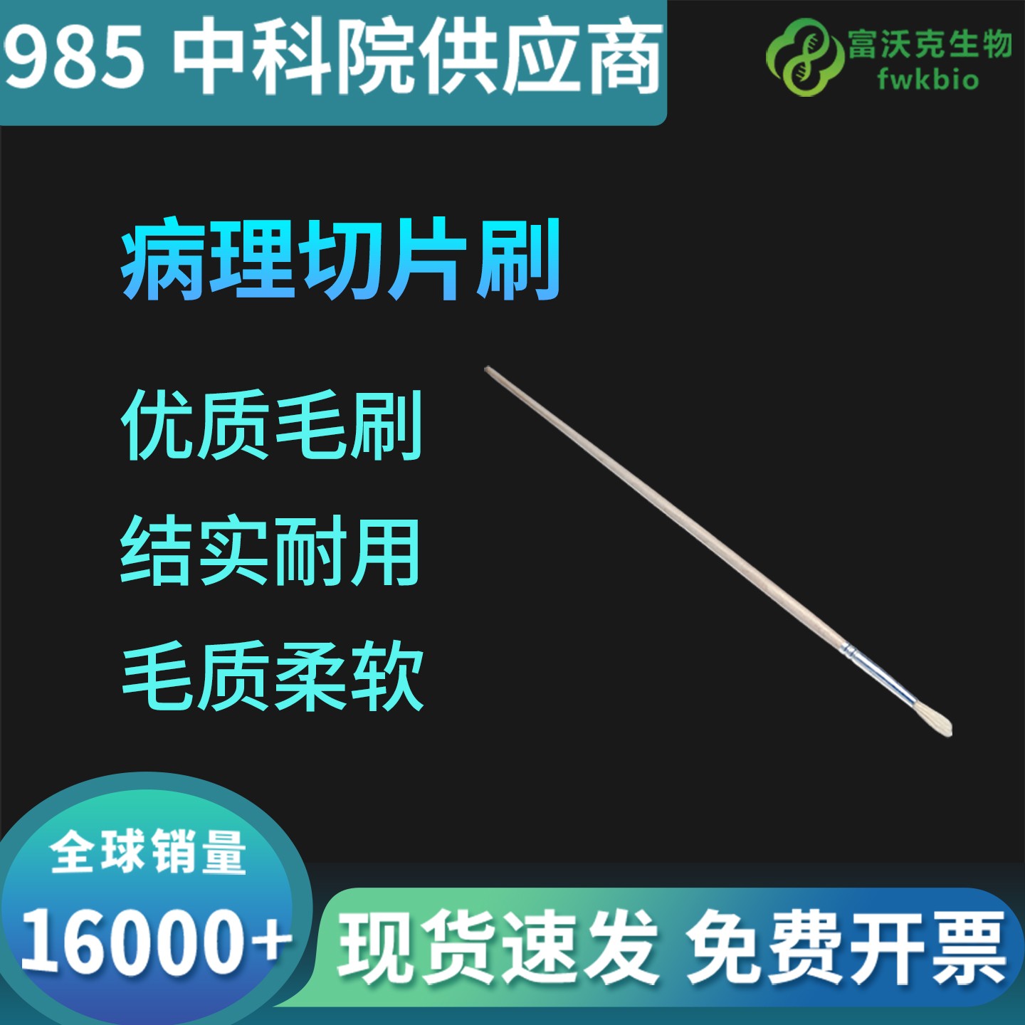 主图.jpg
